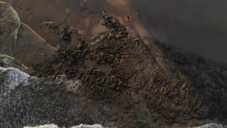 Malerisches-Felsmuster-Und-Design-Meeresboden-Am-Sandstrand-Von-Calheta-Mit-Meereswellen,-Die-Bei-Sonnenuntergang-An-Land-Rollen,-Portugal,-Direkt-über-Der-Aufsteigenden-Antenne