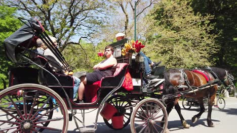 Rickshaws-and-horse-carriage-in-Central-Park,-New-York-City,-guided-exploration-tours-of-the-popular-destination-in-Manhattan