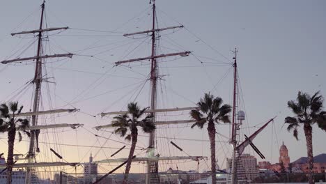 Birds-flying-above-masts-of-the-sailing-vessel-in-Malaga-port,-wind-blowing-palm-trees---Catedral-de-la-Encarnación-de-Málaga-in-the-background