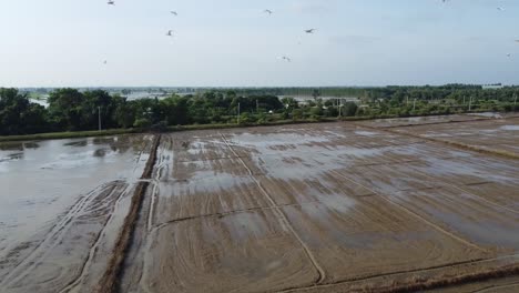 Aerial-backwards-shot-of-flooding-farmland-fiels-after-strong-rain