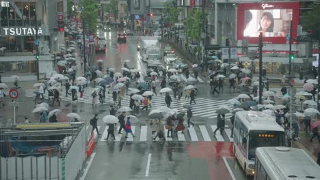 Fußgänger-überqueren-An-Einem-Regnerischen-Tag-Die-Straße---Shibuya-Kreuzung-In-Tokio,-Japan---Nahaufnahme,-Zeitlupe
