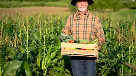 Close-up-farmer-carrying-a-box-of-organic-vegetables-look-at-camera-at-sunlight-agriculture-farm-field-harvest-garden-nutrition-organic-fresh-portrait-outdoor-slow-motion