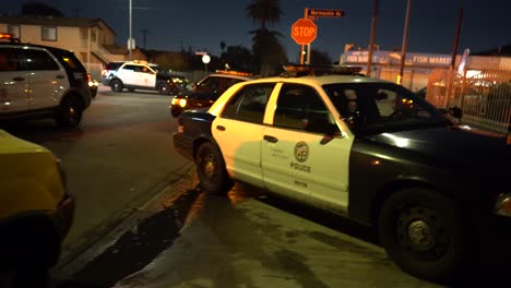 Los-Angeles-Police-Department-LAPD-in-action