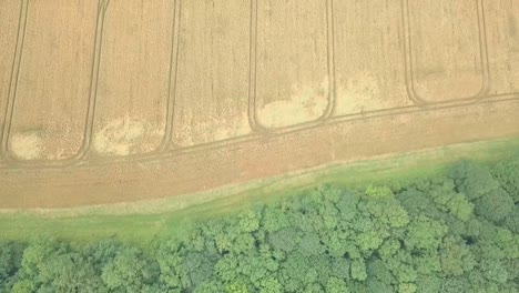 Aerial-view-of-a-farmers-field-crops-and-trees