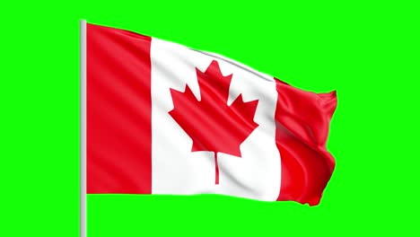 Nationalflagge-Kanadas-Weht-Im-Wind-Auf-Grünem-Bildschirm-Mit-Alpha-Matte