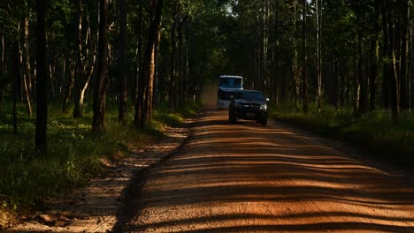 árboles-Forestales-Que-Proyectan-Líneas-De-Sombras-En-Un-Camino-De-Tierra-Marrón,-Lapso-De-Tiempo,-Mientras-Un-Automóvil-Sale-Del-Santuario,-Un-Camión-Y-Un-Autobús-Se-Acercan-Mientras-Dejan-Un-Rastro-De-Polvo,-Huai-Kha-Kaeng,-Tailandia