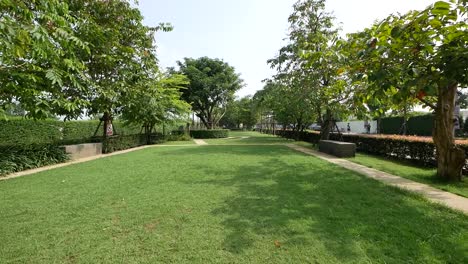 Peaceful-and-Beautiful-Green-Grass-Jogging-Park-With-Big-Trees-On-Sunny-Day