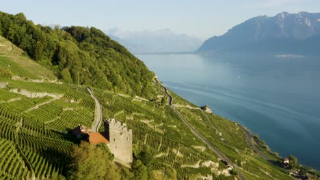 órbita-Aérea-Alrededor-De-La-Torre-Medieval-En-El-Lago-Léman-Del-Viñedo-De-Lavaux-Y-Los-Alpes-En-El-Fondo-Suiza