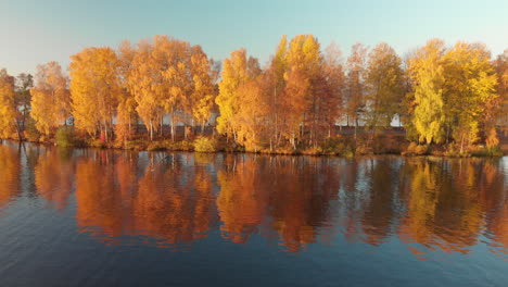 Beautiful-yellow-tree-line-next-to-a-serene-calm-lake-in-October