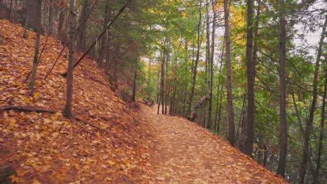Walking-down-a-trail-bend-in-the-late-autumn-in-Quebec-with-orange-leaves-in-the-trees-beside-a-lake