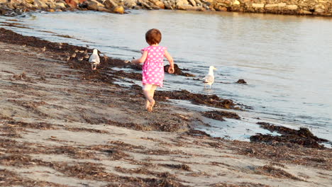 A-young-girl-toddler-chasing-seagulls-along-the-beach-in-a-pink-dress-reaches-out-longingly-as-they-fly-away-from-her
