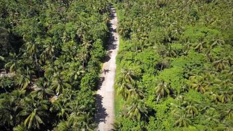 Static-aerial-shot-of-scooter-driving-fast-on-palm-tree-lined-road-on-Siargao,-the-Philippines