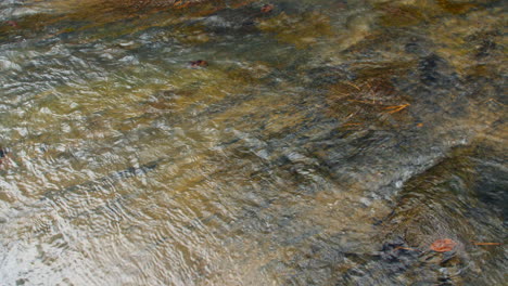 PAN-LEFT-close-up-of-a-creek-flowing-over-a-slick-rock-surface