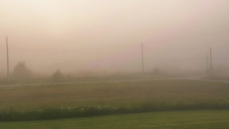 Dense-morning-fog-gives-a-pink-hue-to-the-morning-light