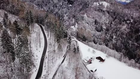Drone-flies-straight-next-to-a-road-which-goes-through-a-forest-in-Switzerland