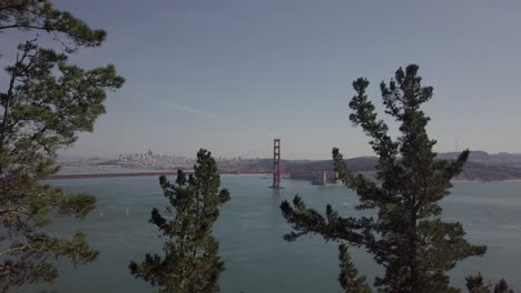 Luftdrohnenaufnahme-Von-Bäumen,-Die-Die-Golden-Gate-Bridge-In-San-Francisco-Freigibt
