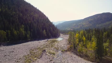 Aerial-Daytime-Medium-Wide-Shot-Flying-Forward-Over-A-Swift-Steep-River-Between-Trees-Of-An-Autumn-Pine-Forest-In-The-Rocky-Mountain-Peaks-in-Alberta-Canada