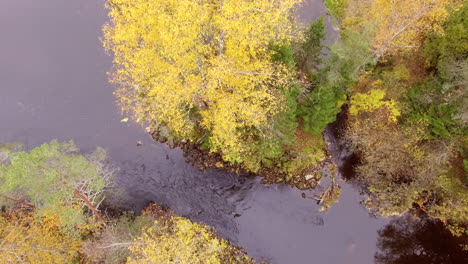Drone-descending-above-a-beautiful-river-in-autumn