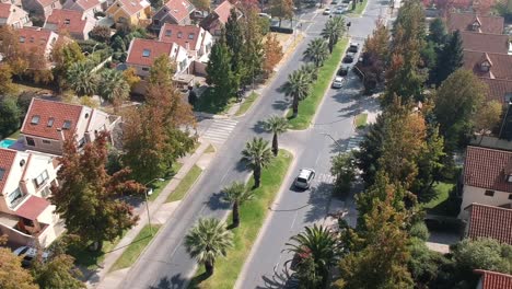 Aerial-shot-of-road-with-palms-in-neighborhood-in-Santiago-Chile