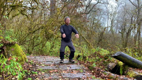 Totale-Aufnahme-Eines-Asiatischen-Mannes,-Der-In-Einem-Wald-Tai-Chi-Macht