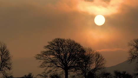 Sonnenaufgang-Mit-Frühmorgendlichem-Nebel,-Der-Die-Stärke-Der-Sonne-Filtert,-Und-Silhouetten-Von-Bäumen