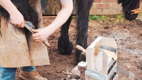 A-professional-farrier-at-work