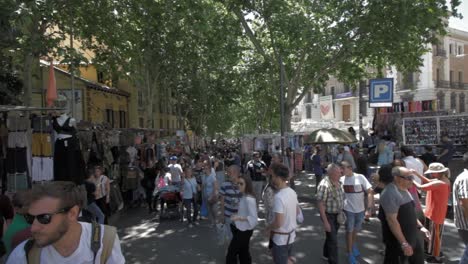 Vista-De-Puestos-En-El-Rastro-,-Mercadillo-De-Madrid