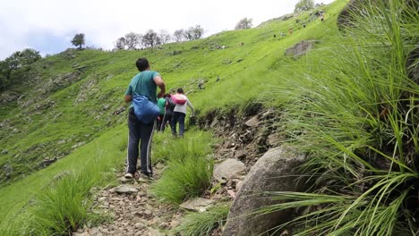 Hermosa-Escena-De-Un-Prado-En-Los-Montañeros-Del-Alto-Himalaya-En-Su-Camino-Hacia-El-Sendero---Vista-Fascinante-Del-Alto-Himalaya