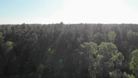 Aerial-pan-shot-of-forest-and-meadow-in-pomeranian-district-in-Poland