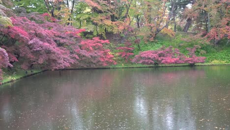 Regen-In-Einem-Teich,-Umgeben-Von-Herbstfarben