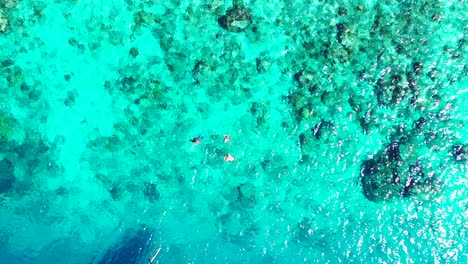 Fondo-De-Agua-De-Mar-Turquesa-Cristalina,-Turistas-Nadando-Y-Buceando-Explorando-Arrecifes-De-Coral-Saludables