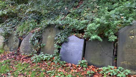 Vista-De-Algunas-Tumbas-Antiguas-En-Un-Cementerio-Del-Siglo-XIX-Cerca-De-La-Catedral-De-Liverpool-Con-Una-Rata-Saltando-Al-Final-Del-Clip