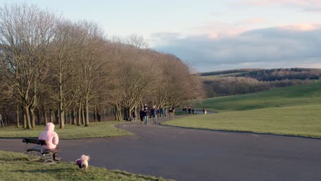 Menschen-Mit-Hunden,-Die-An-Einem-Hellen,-Kalten-Wintertag-In-Einem-Park-Spazieren-Gehen,-Tempel-Newsam,-Leeds,-Großbritannien,-England