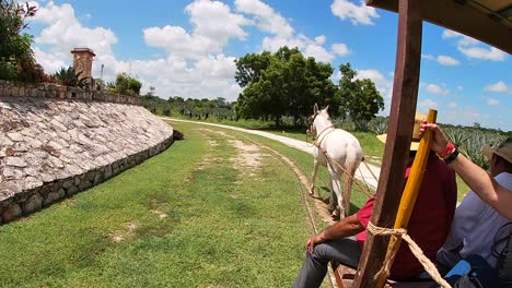 Cámara-Lenta,-Toma-Un-Paseo-En-Camión-A-Sotuta-De-Peon,-Nos-Lleva-De-Vuelta-A-La-época-Dorada-Del-Henequén