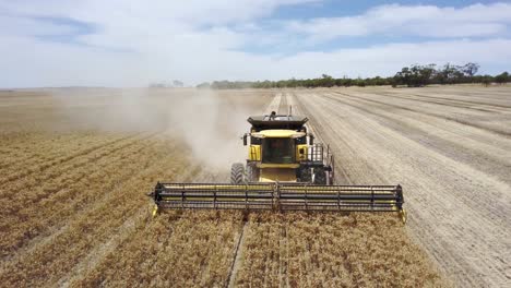 Combine-harvesting-corn-and-trailing-a-plume-of-dust---aerial-front-view