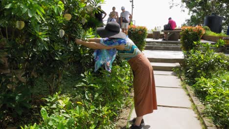 A-woman-in-colorful-clothes-puts-a-leaf-hanger-on-a-tree-near-Big-Buddha,-Phuket