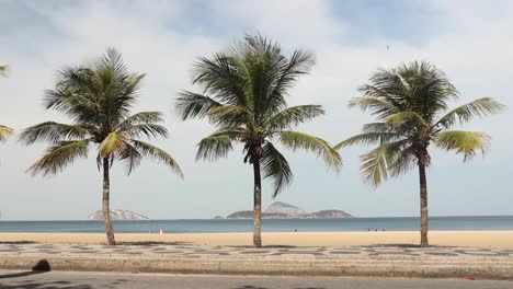 Palm-trees-waving-in-the-wind-while-people-with-and-without-face-masks-run,-jog,-bike,-walk,-cycle-and-passing-on-skateboard-along-Ipanema-beach-during-COVID-19-coronavirus-outbreak