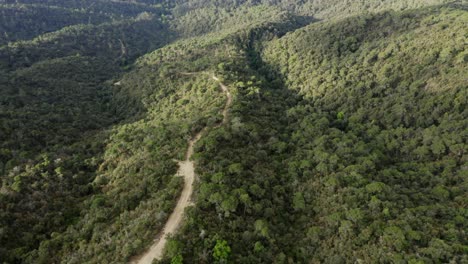 Flight-above-green-forest-with-dirt-trail-on-summit-of-hill-in-picturesque-expansive-countryside,-overhead-aerial-approach