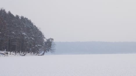 Laguna-De-Kaunas-Congelada-Con-árbol-De-Coníferas-Inclinado-Hacia-El-Hielo