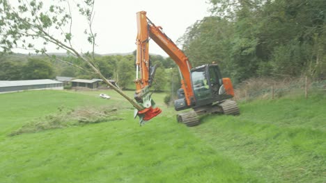 Excavator-with-tree-shear-carries-thin-tree-and-drops-on-grass