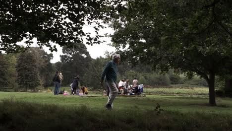 Families-gather-together-in-the-park-as-elderly-gentleman-walks-by-wide-shot