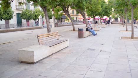 Personas-Con-Máscaras-Sentadas-En-El-Banco-De-La-Plaza-De-La-Merced-En-La-Ciudad-De-Málaga,-España-Durante-La-Pandemia-Del-Coronavirus---Plano-General