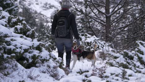 Dog-jumps-to-catch-wooden-stick-held-in-hand-by-woman-in-snowy-forest