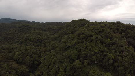 Vuelo-Inverso-De-Drones-Sobre-Un-Bosque-Lluvioso-En-El-Municipio-De-Córdoba,-Veracruz,-México