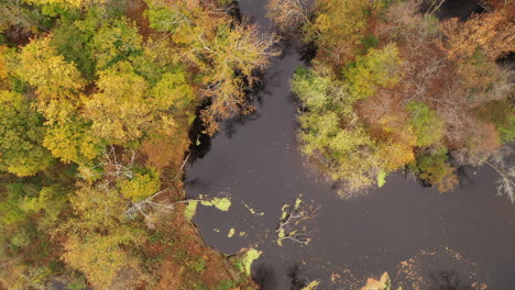 A-top-down-shot-directly-above-a-lake-surrounded-by-colorful-fall-foliage-in-upstate-NY