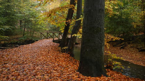 Herbstbrücke-Im-Wald