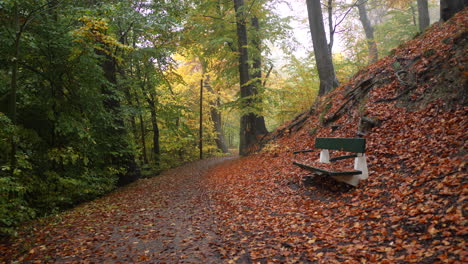 Herbstliche-Parkbank-Im-Wald