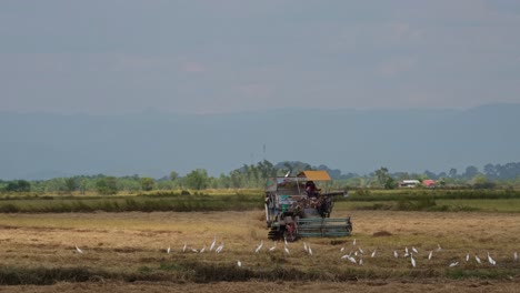 Harvester-and-Mill-Machine,-4K-Footage