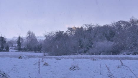 Slow-motion-shot-of-snow-falling-heavily-on-a-field-with-a-red-morning-sky