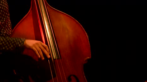 Jazz-bass-player-at-a-concert,-theater-scene,-contrabass,-video,-stopped-camera,-closeup